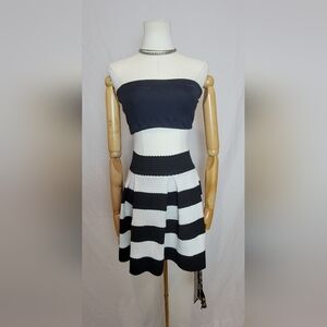 Francesca’s Aina be Pleated Striped Skirt